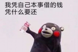 赫章专业要账公司